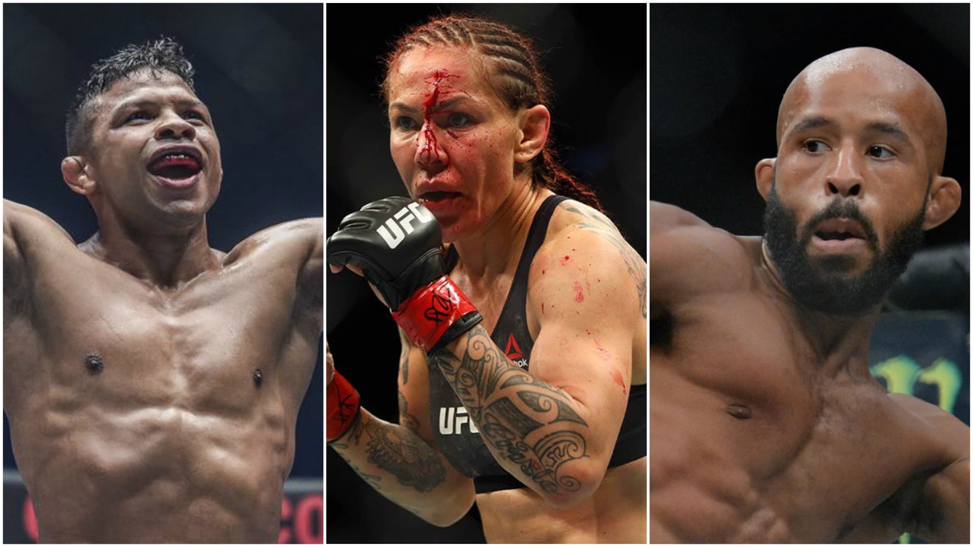 Frontkick Online MMA topplista