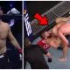 Khabib Nurmagomedov UFC 254 Frontkick.online