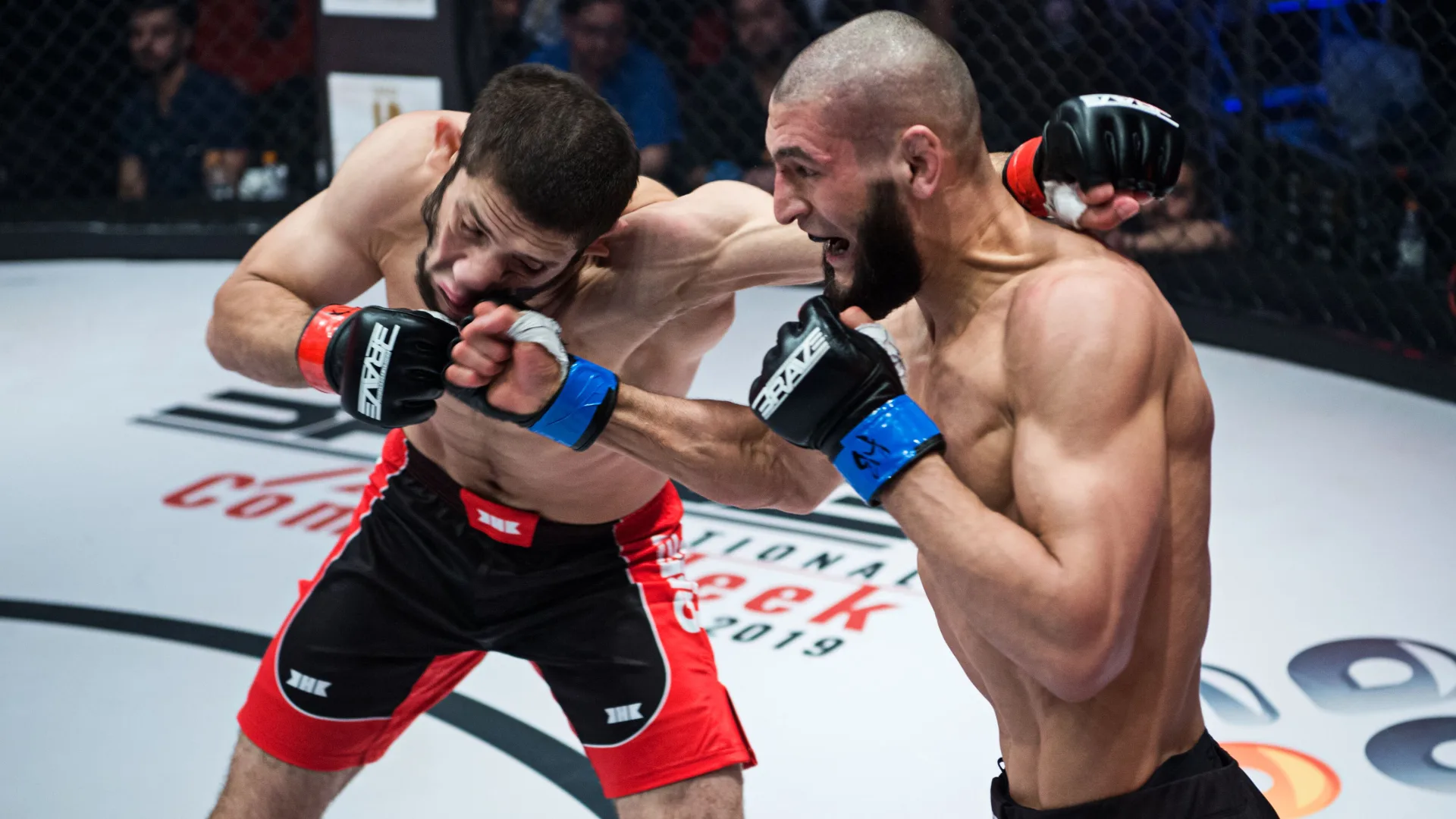 Khamzat Chimaev Frontkick Online