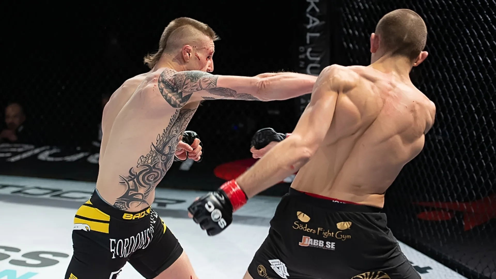 Tobias Harila Adam Westlund Frontkick.online