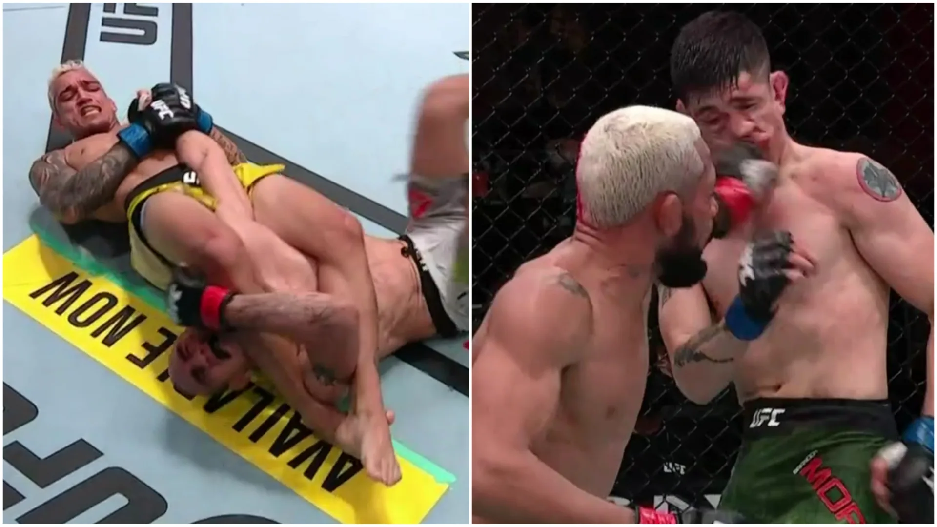 UFC 256 resultat MMA Frontkick Online
