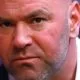 Dana White UFC 257 Conor McGregor Khabib MMA