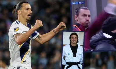 Zlatan Ibrahimovic Taekwondo Black Belt Frontkick.online