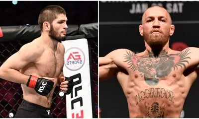 Dana White UFC MMA Frontkick Online Khabib Conor McGregor