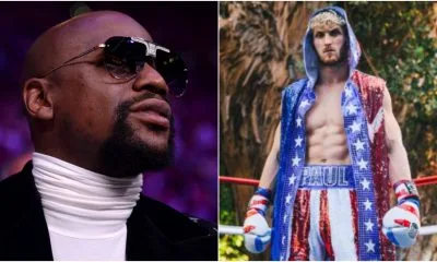 Logan Paul Floyd Mayweather Boxning Frontkick Online