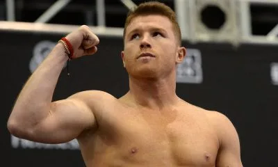 Canelo Alvarez boxning frontkick.online