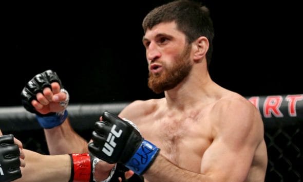 magomed ankalaev ufc mma nikita krylov frontkick online