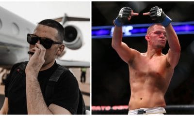 Nate Diaz Frontkick.online