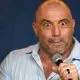 Joe Rogan UFC MMA Vita Huset kritik Frontkick Online