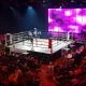 SM Thaiboxning 2021 Frontkick.online