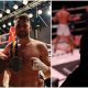 Muay Thai Thaiboxning Finaler SM Frontkick Online