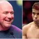 Paulo Costa Dana White hånar 1 UFC MMA Frontkick Online