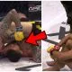 Serdar Altas Scott Malone Cage Warriors 125 MMA Frontkick.online