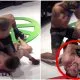 MMA Skada vidrig Abdul-Malik Saidulaev ACA Young Eagles Frontkick Online 1