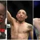 UFC 265 Derrick Lewis Jose Aldo Michael Chiesa MMA Frontkick.online