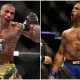 UFC Fight Night Edson Barboza Giga Chikadze MMA Matchkort Frontkick Online