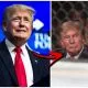 Donald Trump Triller Fight Club Frontkick.online