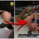 Fernando Flores Jerry Kvarnstrom Superior Challenge Frontkick.online