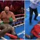 Tyson Fury Deontay Wilder 3 resultat Boxning Frontkick Online