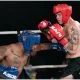 Bulldog Lamotte Almeida MMA Frontkick