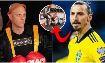 Joakim Lamotte Zlatan Ibrahimovic Muay Thai Thaiboxning Frontkick Online test1