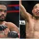 Rob Font Jose Aldo UFC Frontkick