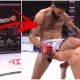 Roman Faraldo Bellator Frontkick.online