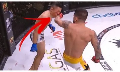 Sergio Pettis Bellator 272 MMA Frontkick