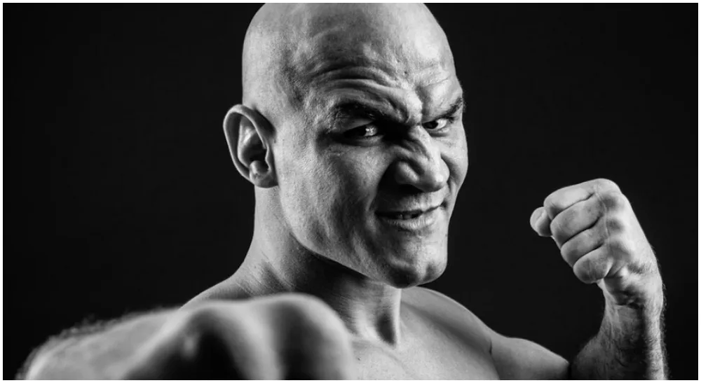 Junior Dos Santos UFC Frontkick