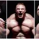 Tungvikt mästare Brock Lesnar Francis Ngannou Tim Sylvia UFC Frontkick Online