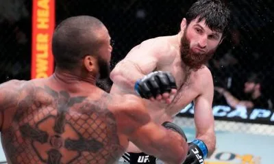 Magomed Ankalaev Thiago Santos UFC MMA Frontkick Online