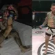 Kenneth Bergh vs Ederson Macedo Superior Challenge 24 MMA Frontkick Online