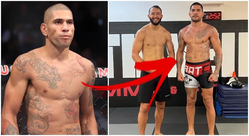 Alex Pereira arrow UFC MMA Frontkick