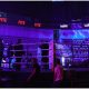 Muay Thai For Life MTFL 3.0 Frontkick.online