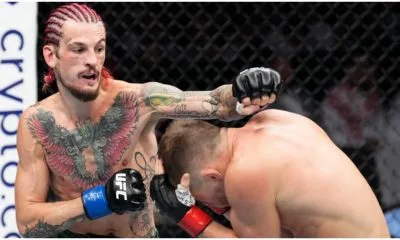 Petr Yan Sean O'Malley UFC MMA Frontkick
