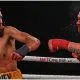 Bare Knuckle FC wants everybody Boxing Frontkick.online