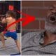 Mike Tyson Sadibou Sy MMA PFL 1 Frontkick.online