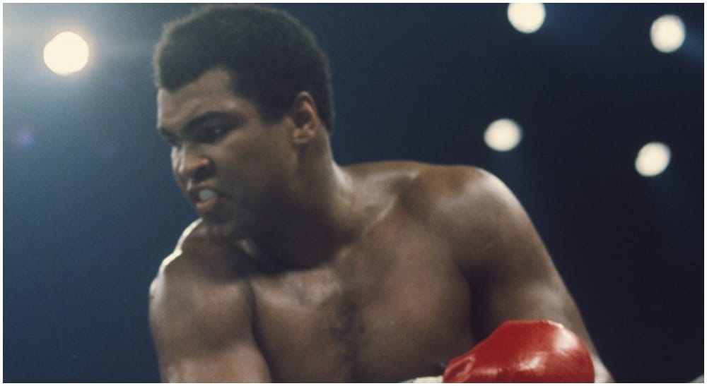 Thrilla in Manilla Frontkick.online