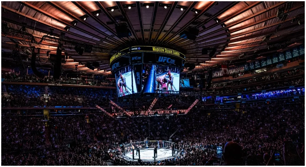 UFC Octagon MSG MMA 1 Frontkick.online
