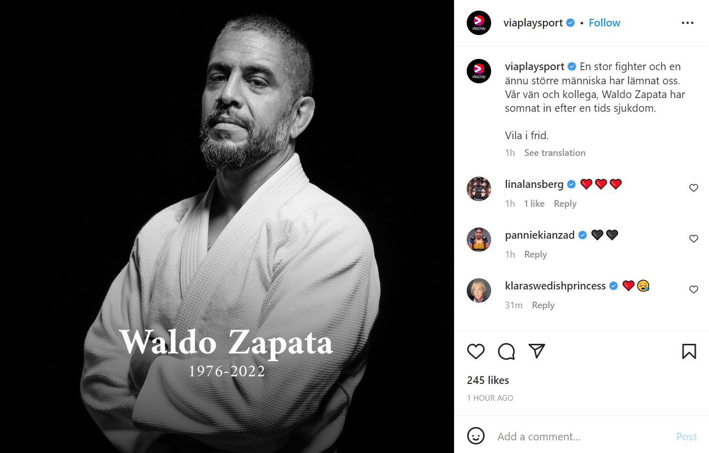 Waldo Zapato Viaplay MMA Frontkick