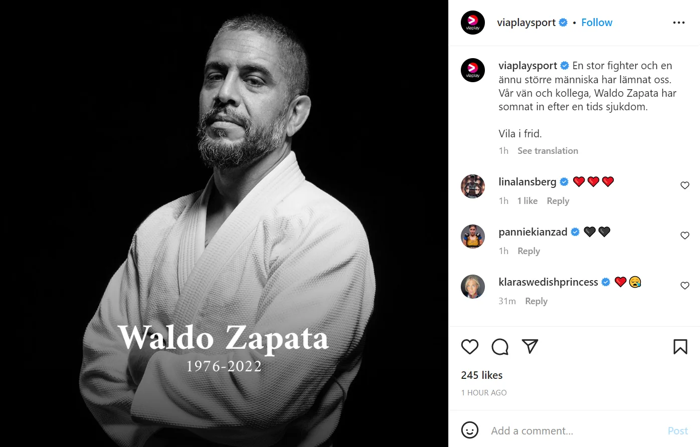 Waldo Zapato Viaplay MMA Frontkick