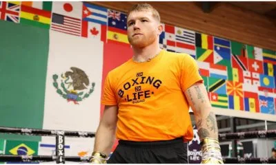 Canelo Alvarez boxing mexico 1 Frontkick online
