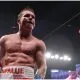 Canelo Mexico Frontkick online