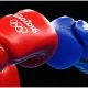 World Boxing 1 Frontkick.online