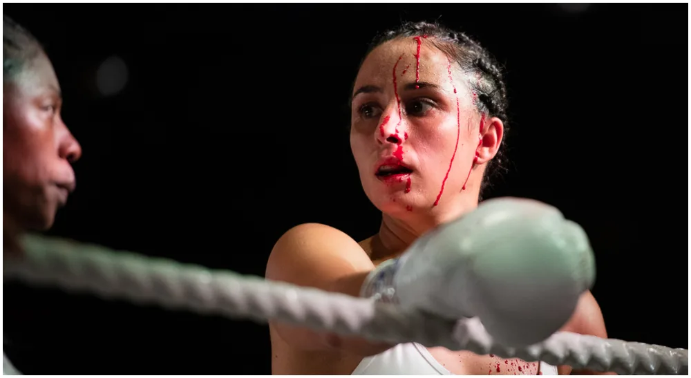 ABP Fight Night 9 Linn Sandström Frontkick.online