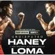Devin Haney vs Vasiliy Lomachenko 1