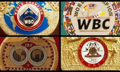 Difference between boxing organizations 1 Frontkick.online