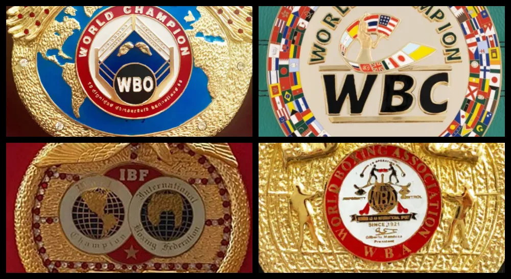 Difference between boxing organizations 1 Frontkick.online