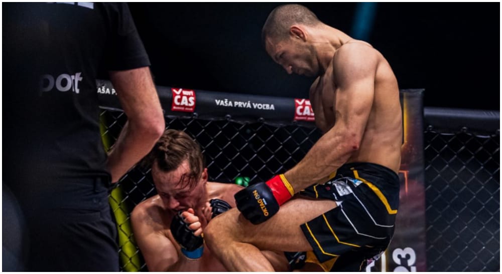 Ronald Paradeiser MMA 1 Frontkick.online