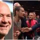 Sterling vs O'Malley Dan White Frontkick.online